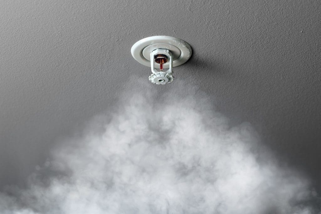 Mist-System-1